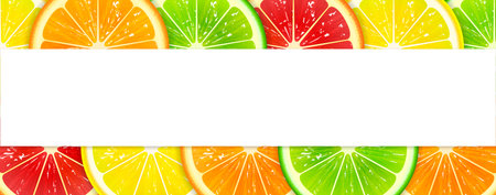 horizontal banner with colorful citrus fruitsのイラスト素材