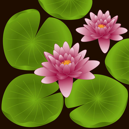 Lotus flowers with green leaves on black backgroundのイラスト素材
