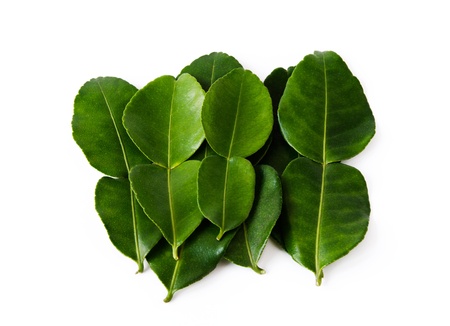 Kaffir Lime Leaves isolated on white backgroundの写真素材