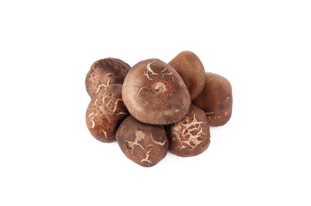 Shitake Mushroomsの写真素材