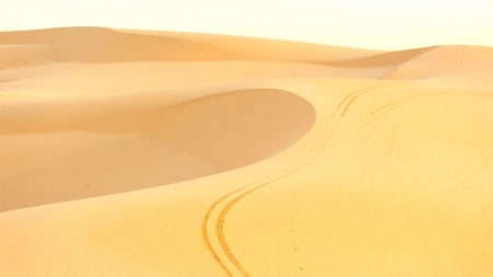 Sand Dunes の写真素材