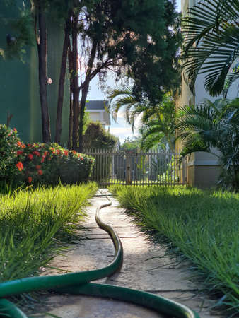 sunrise gardenの写真素材