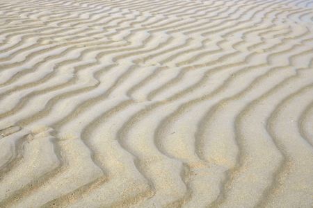 Pattern of sand beach ripple backgroundの写真素材