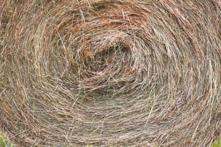 texture of dry round bale of straw grass