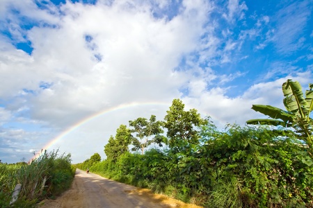 Pathway to Rainbow with dirt pathwayの写真素材