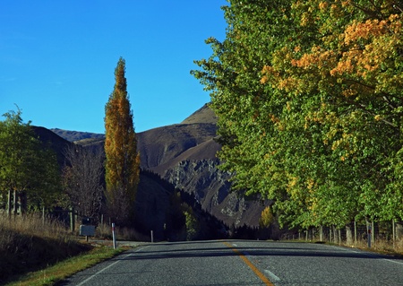 Long road stretching out into the distance in New Zealandの写真素材