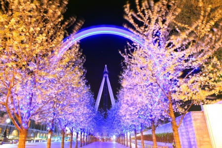 LONDON - April 15: Rows of trees lead to the London Eye, on Aril 15, 2012 in London. This is the largest Ferris wheel in Europe, and the most popular tourist attraction in London, structure of the London Eye is 135 metres tall and the wheel has a diameterのeditorial素材