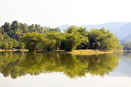 Reflection of Lake garden in Taiping Malaysiaの写真素材