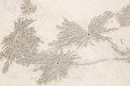 white Sand beach texture background