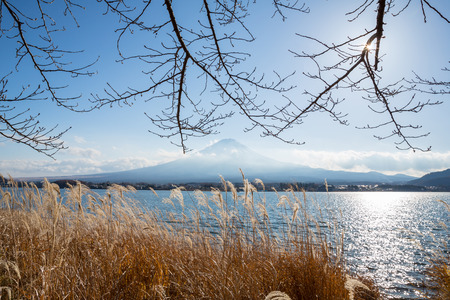 Mountain Fuji fujisan from kawaguchigo lake at Yamanashi Japanの写真素材