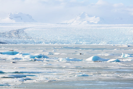 Vatnajokull Glacier Jokulsarlon lagoon Iceland