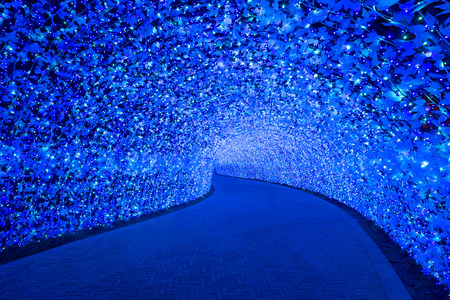 Nagoya, Japan. Nabana no Sato garden at night in winterのeditorial素材