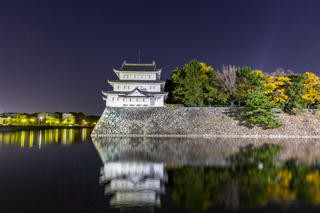 Nagoya Castle, Japan at nightのeditorial素材