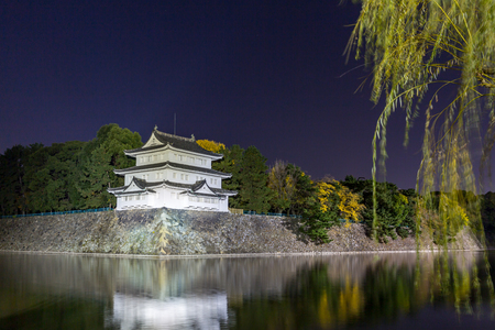 Nagoya Castle, Japan at nightのeditorial素材