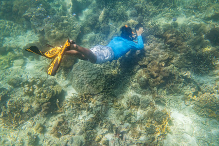 snorkeling diver make a free diving on tropical reef with blue background and reef fish in andaman...