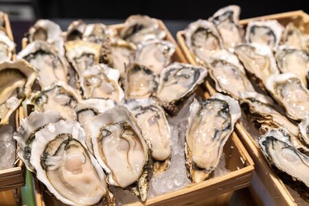 Fresh Oyster in seafood on ice buffet barの写真素材
