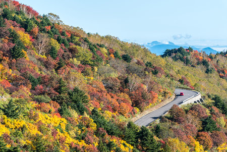 Autumn fall foliage Mountain  in Fukushima Tohoku Japanの写真素材