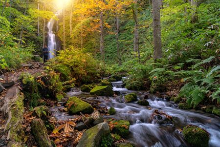 Oirase Autumn Fall Landscape of Forest woodland and waterfall in Aomori Tohoku Japanの写真素材