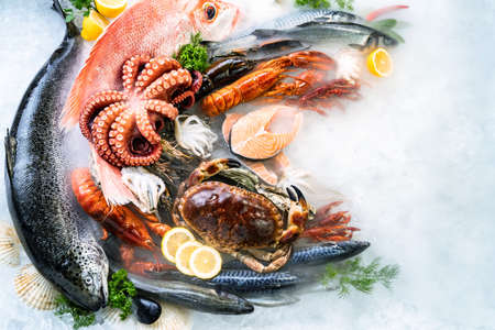 Top view of variety of fresh luxury seafood, Lobster salmon mackerel crayfish prawn octopus mussel red snapper scallop and stone crab, on ice background with icy smoke in seafood market.の写真素材