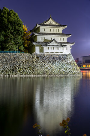 Nagoya Castle Japan at nightのeditorial素材