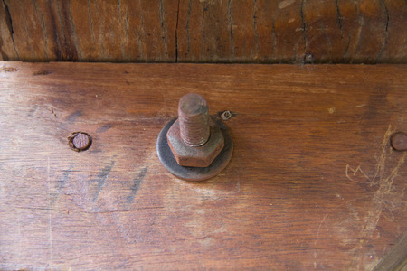 Wood nutの写真素材