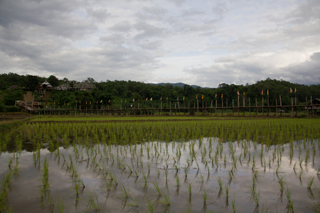 Zutongpae Bridgeの写真素材