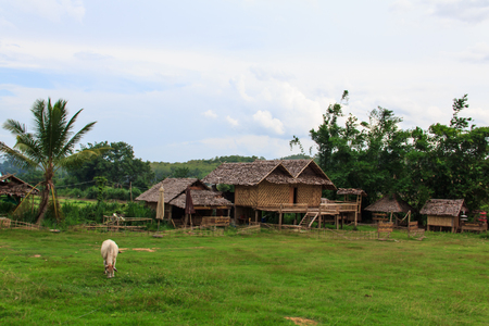 Bamboo flooringの写真素材