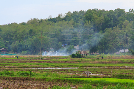 Smoke in the field.の写真素材