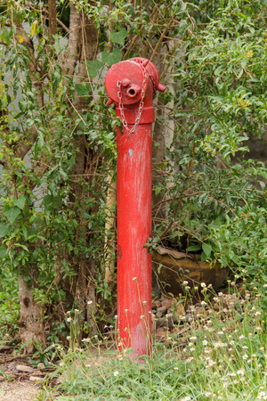 Fire hydrantの写真素材