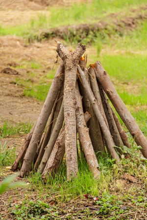 Firewoodの写真素材