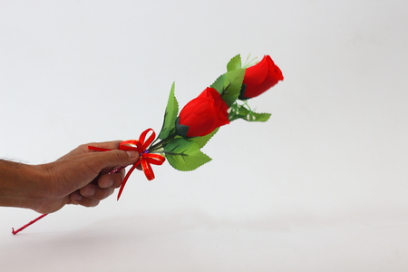 Woman hands holding red plastic roses on a white background.の写真素材