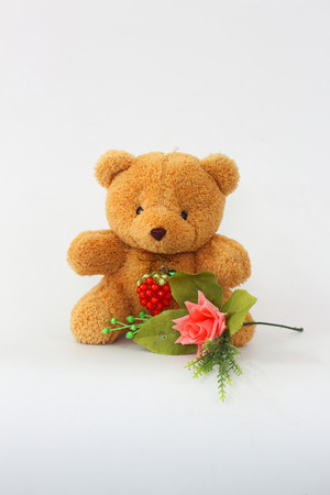 Brown teddy bear and pink roses on a white background.の写真素材