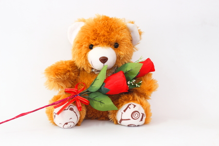 Brown teddy bears and red roses on a white background.の写真素材