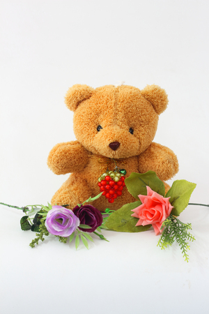 Bear brown and purple roses on a white background.の写真素材