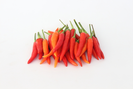 Red peppers on a white background.の写真素材