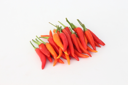 Red peppers on a white background.の写真素材