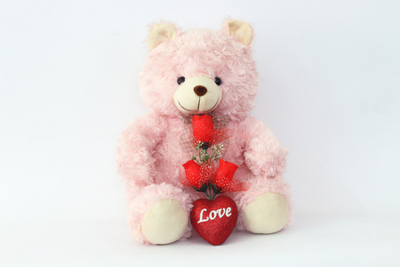 Teddy bears, pink and red roses on a white background.の写真素材