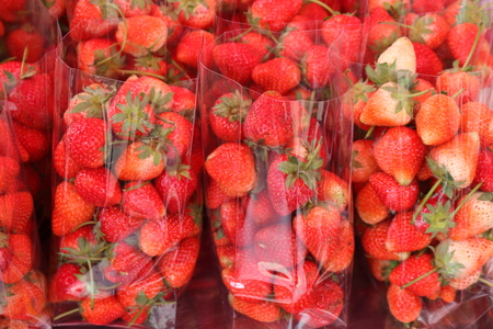 Strawberry berries pack a lot into a clear plastic bag.の写真素材