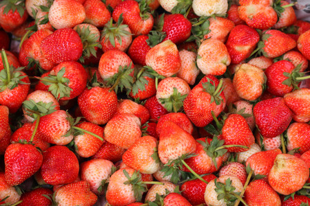 Strawberry's fleet includes many pre-sold.の写真素材