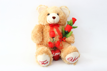 Brown teddy bears and red roses on a white background.の写真素材