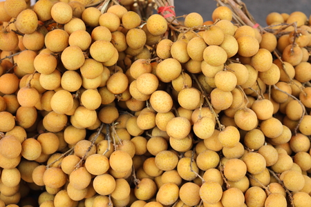 Longan many preparations sold to customers.の写真素材