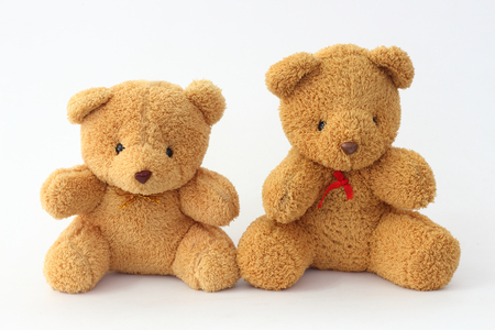 Two brown teddy bear on a white background.の写真素材