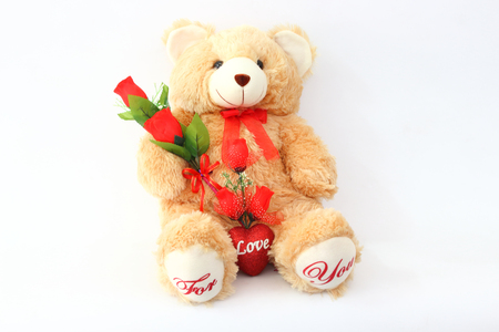 Brown teddy bears and red roses on a white background.の写真素材