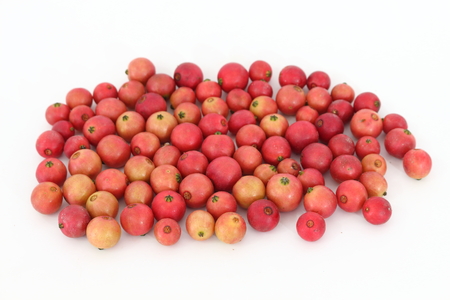 Indian plum On a white background in thailandの写真素材