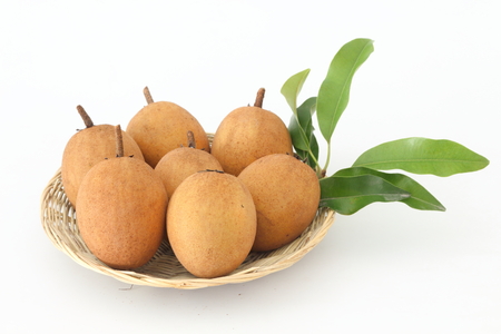 Sapodilla is a blackberry with sweet taste and health.の写真素材