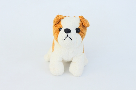 White dog doll with brown ears on white background.の写真素材