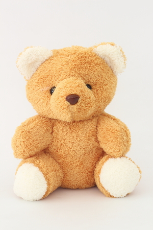 Teddy bear on white backgroundの写真素材
