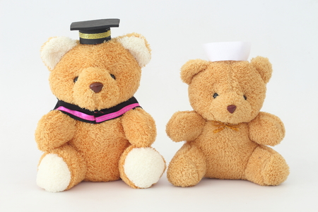 Two brown bear dolls wearing a graduation cap and a nurse hat on a white background.の写真素材