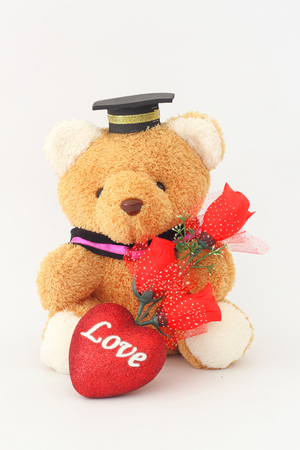 Brown bear wearing a graduation cap and red roses on a white background.の写真素材