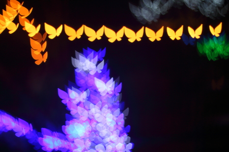 Light at night, beautiful bokeh butterfly shaped and blury.の写真素材